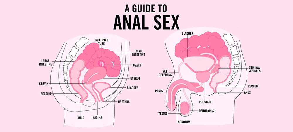 come creare un attaccamento del pene da soli